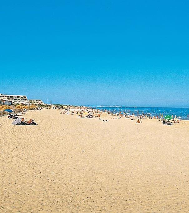 Confortable Appartement Grande Terrasse Piscine Parking Clim Agde Dış mekan fotoğraf